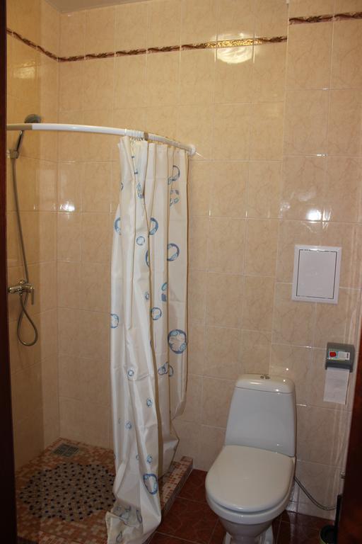 Golden Lion Hotel Boryspilʼ Rum bild